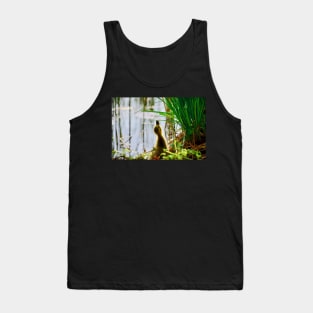 Chick / Swiss Artwork Photography Tank Top